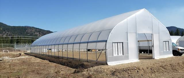 Affordable greenhouse for vegetable farming