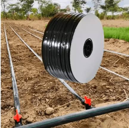 Geenhouse installation quotation Nigeria
