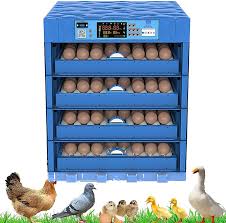320 egg capacity incubator Hover Image