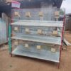 12 capacity battery rabbit cage