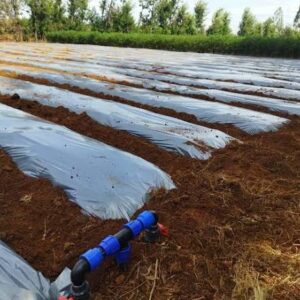 Plastic Mulching film 1.2x100m